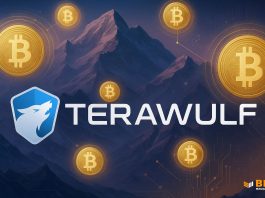 Bitcoin Miner TeraWulf (WULF) Stock Jumps 25% on Positive AI News