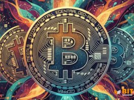 Amboss and Voltage Partner to Turn Bitcoin Payments Into a Source of Yield