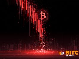 Bitcoin Price Plunges 40% From All-Time Highs to One-Year Lows