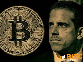 Hunter Biden Now Accepts Bitcoin for Artwork on His Official Website